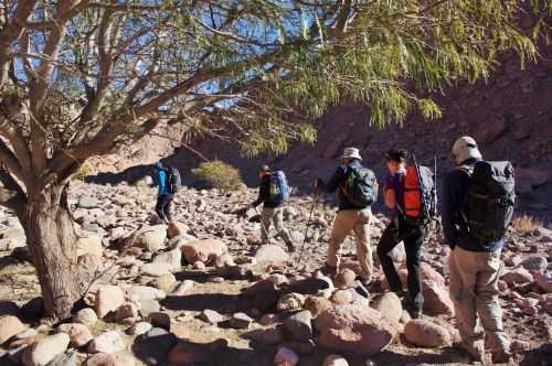 TREKKING NEL DESERTO DI ATACAMA 2015